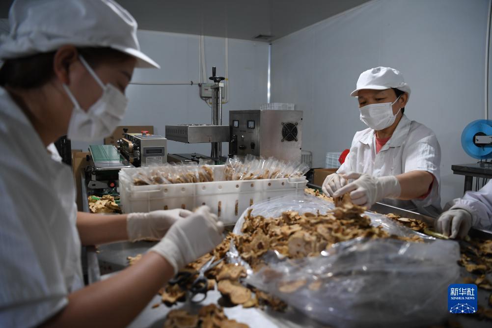 99游戏中心下载